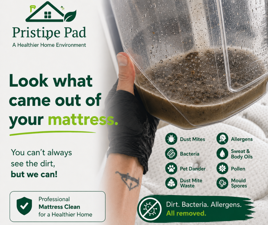 Professional Pristine Pad mattress cleaning advertisement showing dirty water extracted during deep cleaning, with the headline "Look what came out of your mattress" and icons highlighting dust mites, bacteria, allergens, pet dander, sweat, body oils, pollen, and mould spores for a healthier home.