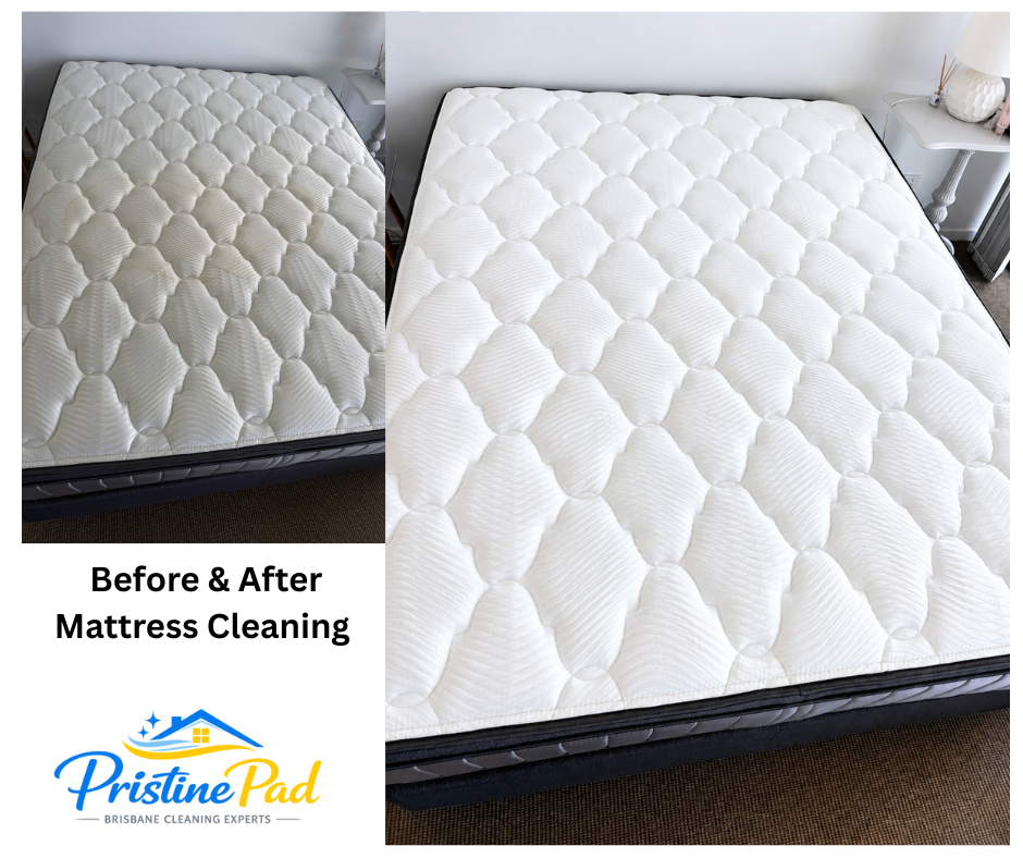 Pristine Pad mattress cleaning advertisement showing a gloved hand holding a collection plate filled with dirt, dust, hair and debris extracted from a mattress. The headline reads "Look what came out of your mattress." The ad highlights a healthier home environment with icons for removing dirt and allergens, killing bacteria and odours, creating a healthier home, and leaving mattresses fresh and clean. The Pristine Pad logo and green branding appear on a white quilted mattress background.